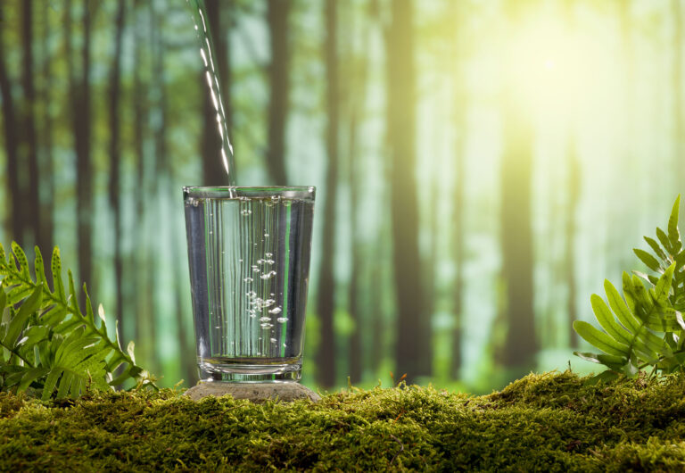 A glass of water on a moss covered stone. The forest background is blurred sunlight