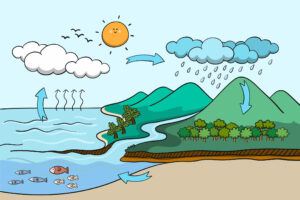 Rain Water Cycle graphic